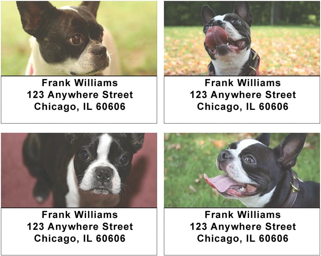 Boston Terriers Address Labels