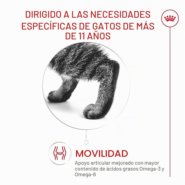 Foto 2 de 8 de ROYAL CANIN AGEING 11+
