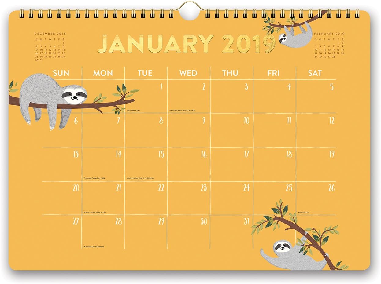 Orange Circle Studio 2019 Deluxe Wall Calendar, August 2018 - December 2019, Potpourri