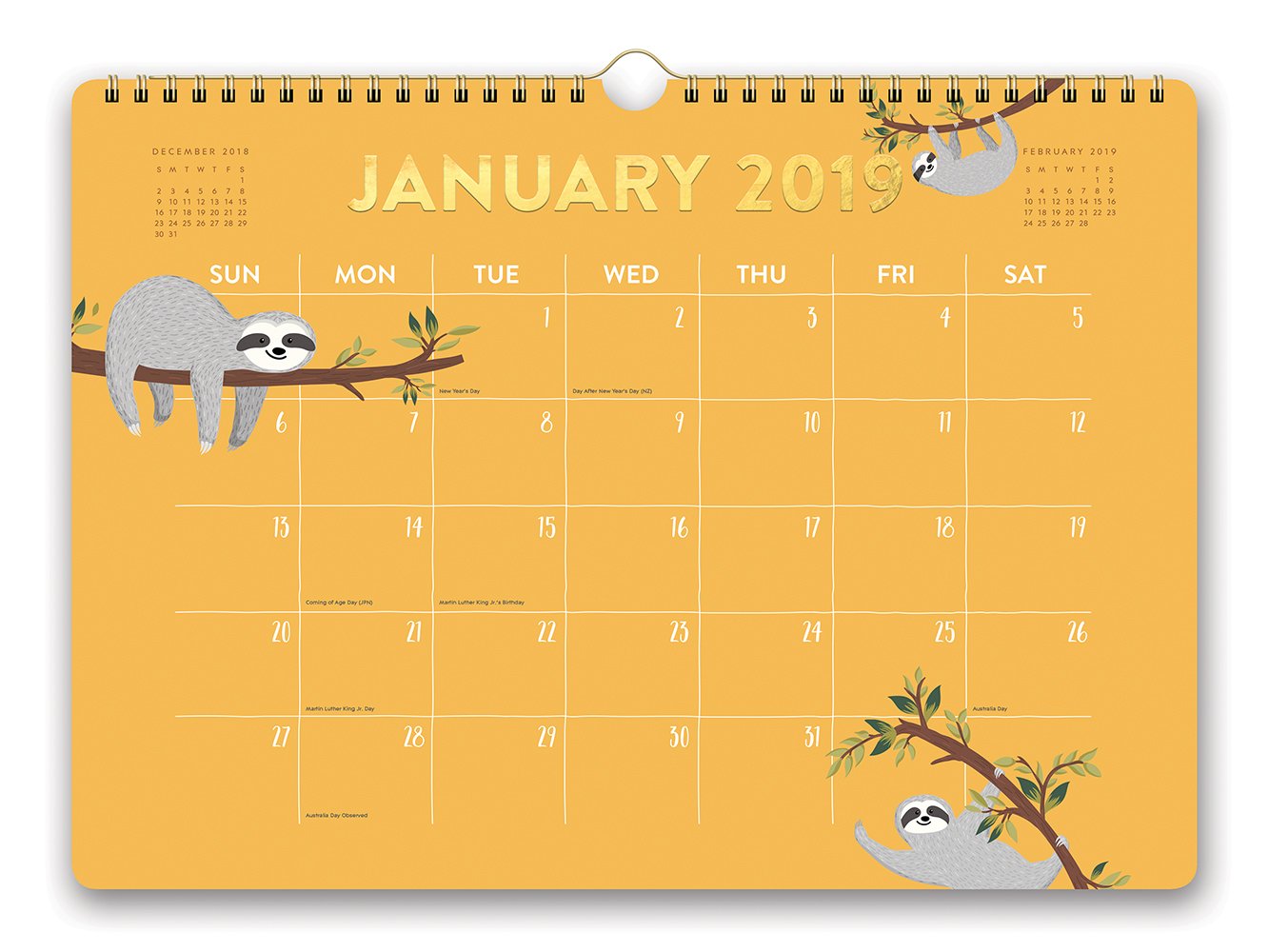 Orange Circle Studio 2019 Deluxe Wall Calendar, August 2018 - December 2019, Potpourri