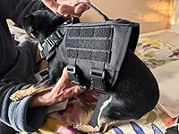 Review Image by Pb&j Pb&j