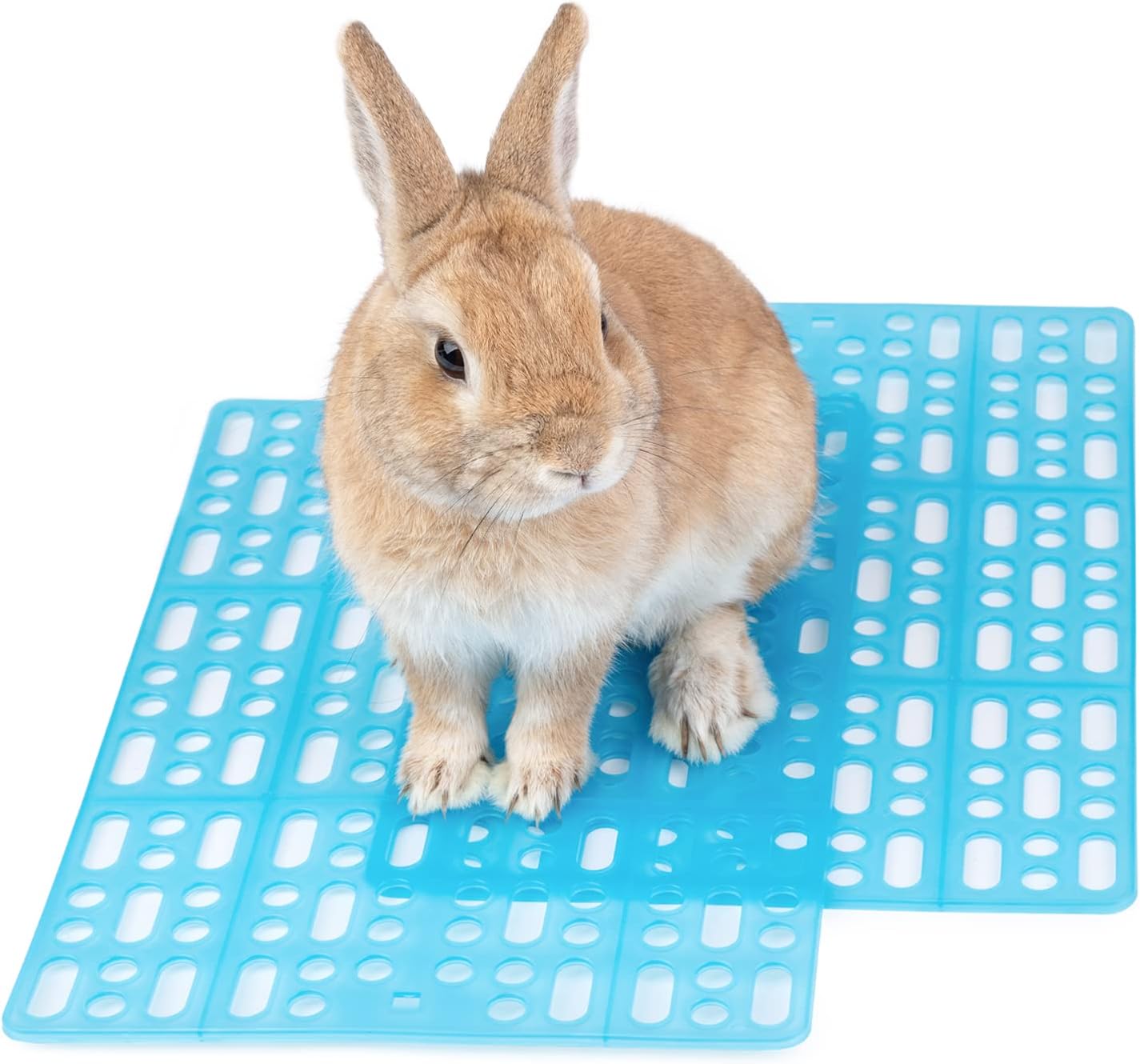 Niteangel 2 Pieces Rabbit Playpen Feet Mats for Cage, Comes with 4 Fixed Tabs (Blue)