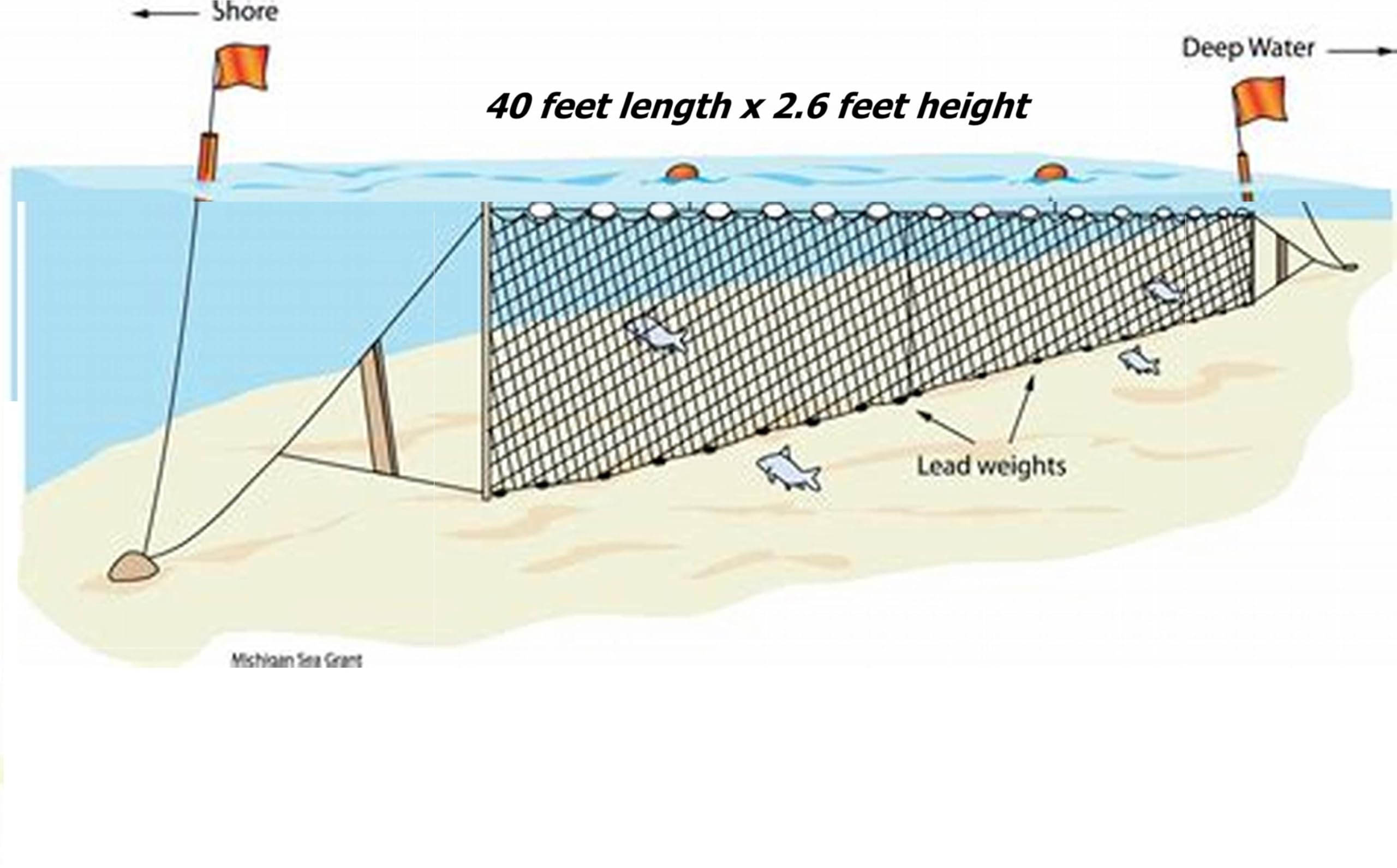 Buy 40 Feet Long Professional Fishing Net, 12.2 m x 0.8 m, with Brick Knob Weights for Shore and Deep Water, Varity of Small Fishes Catching Nylon Net. Online at Low Prices Buy 40 Feet Long Professional Fishing Net, 12.2 m x 0.8 m, with Brick Knob Weights for Shore and Deep Water, Varity of Small Fishes Catching Nylon Net. Online at Low Prices
