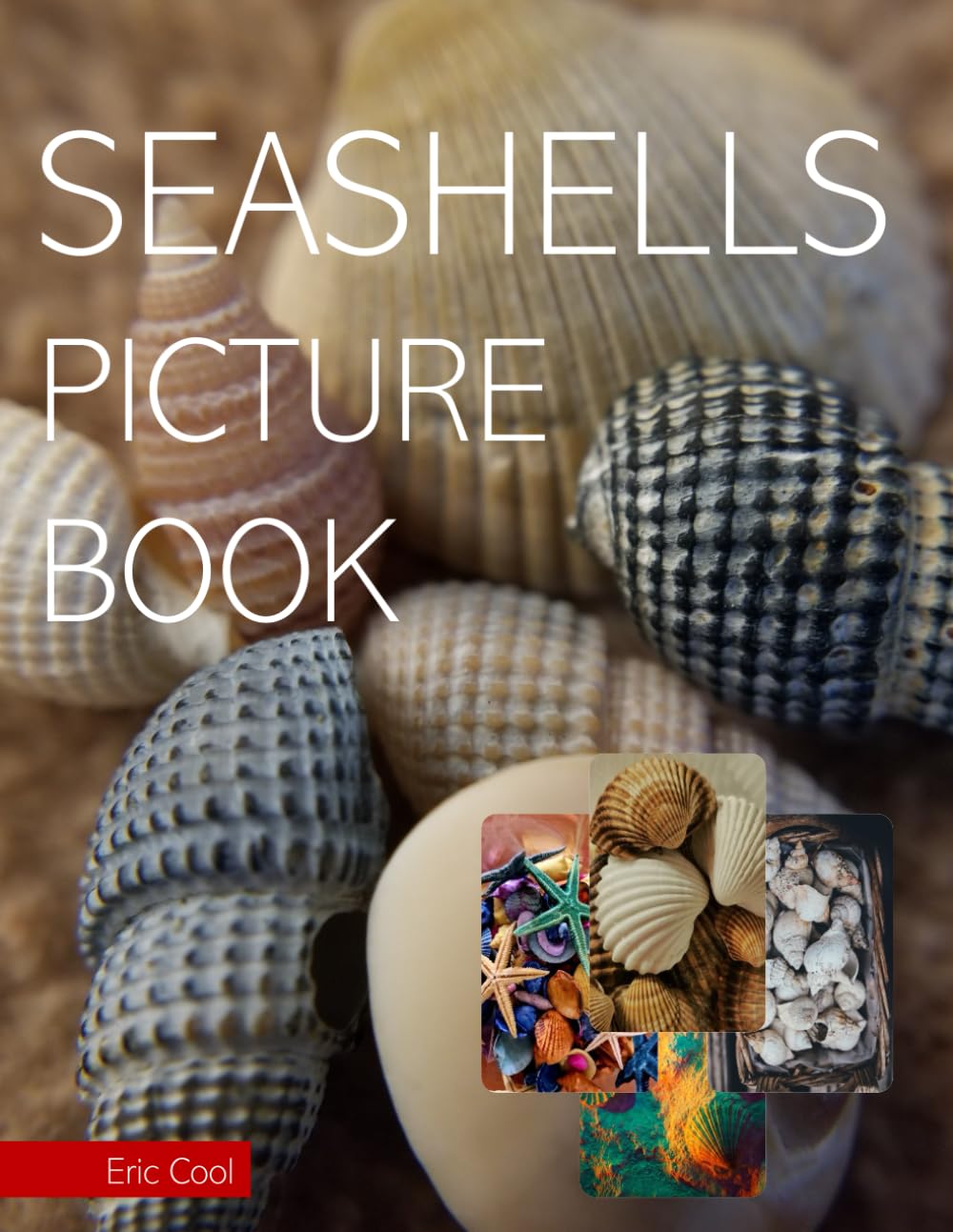 Seashells: A Gift Book for Individuals with Alzheimer's and Seniors with Dementia ............ Relaxation and Meditation.