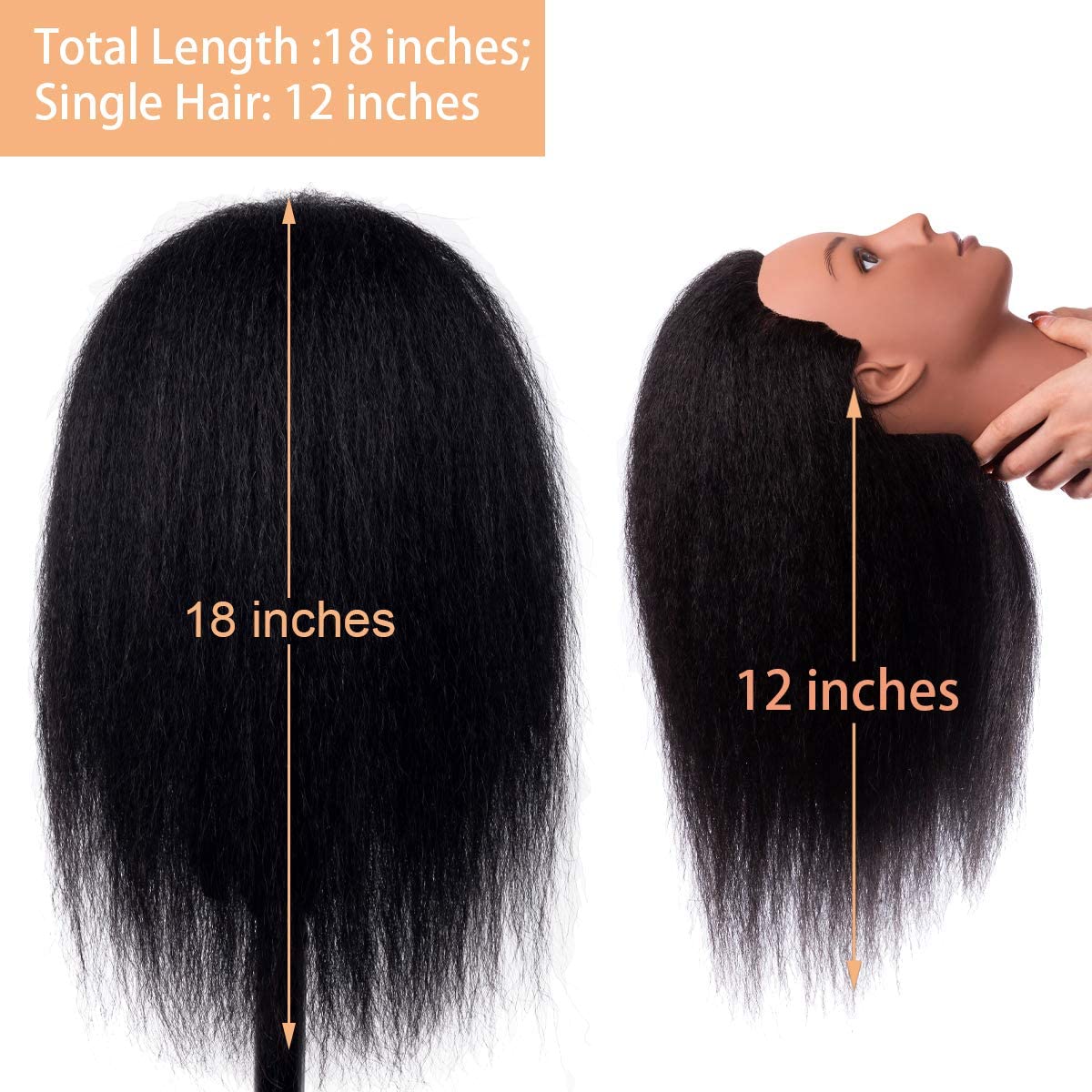 Stancia Male Mannequin Head Especially for Barber, Training Head with 14” 100% Human Hair, Hairdresser Manikin Head for Hair Styling and Practice, Adult Head Size(with Beard) (14)