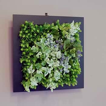 光触媒　人工観葉植物　ウォールグリーン　フェイクグリーン　ロックフレームナチュB 楽天市場】壁掛け グリーンフレーム ドラセナ ブラック（光触媒