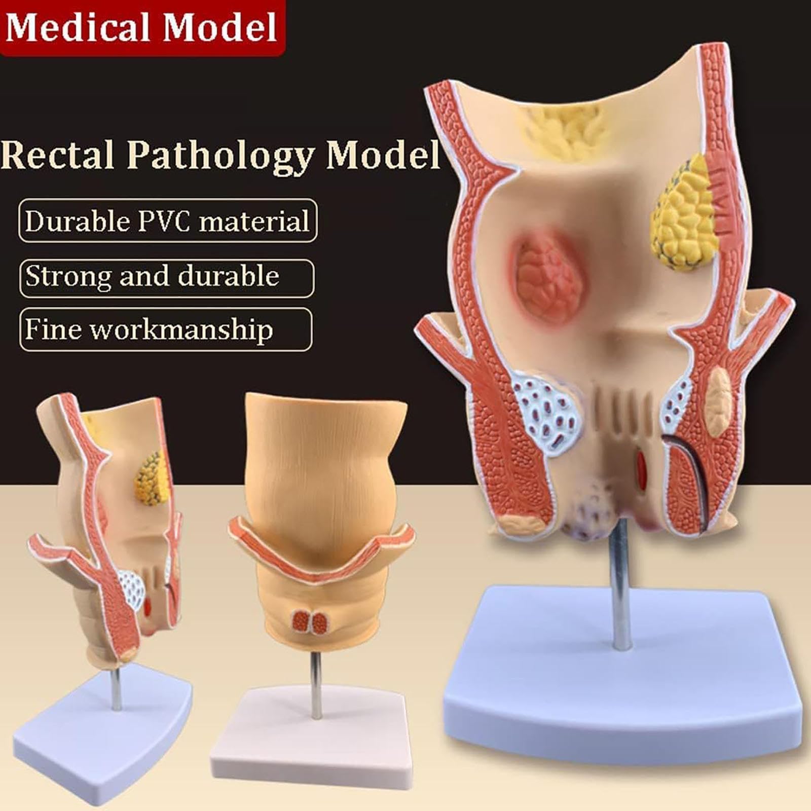 Dip n Decay Model Set