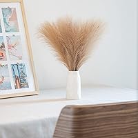 Vista 38 de Decoración de hierba de las pampas, 6 tallos de 18 pulgadas de hierba pomposa, arreglo floral pequeño y relleno de jarrón para decoración bohemia