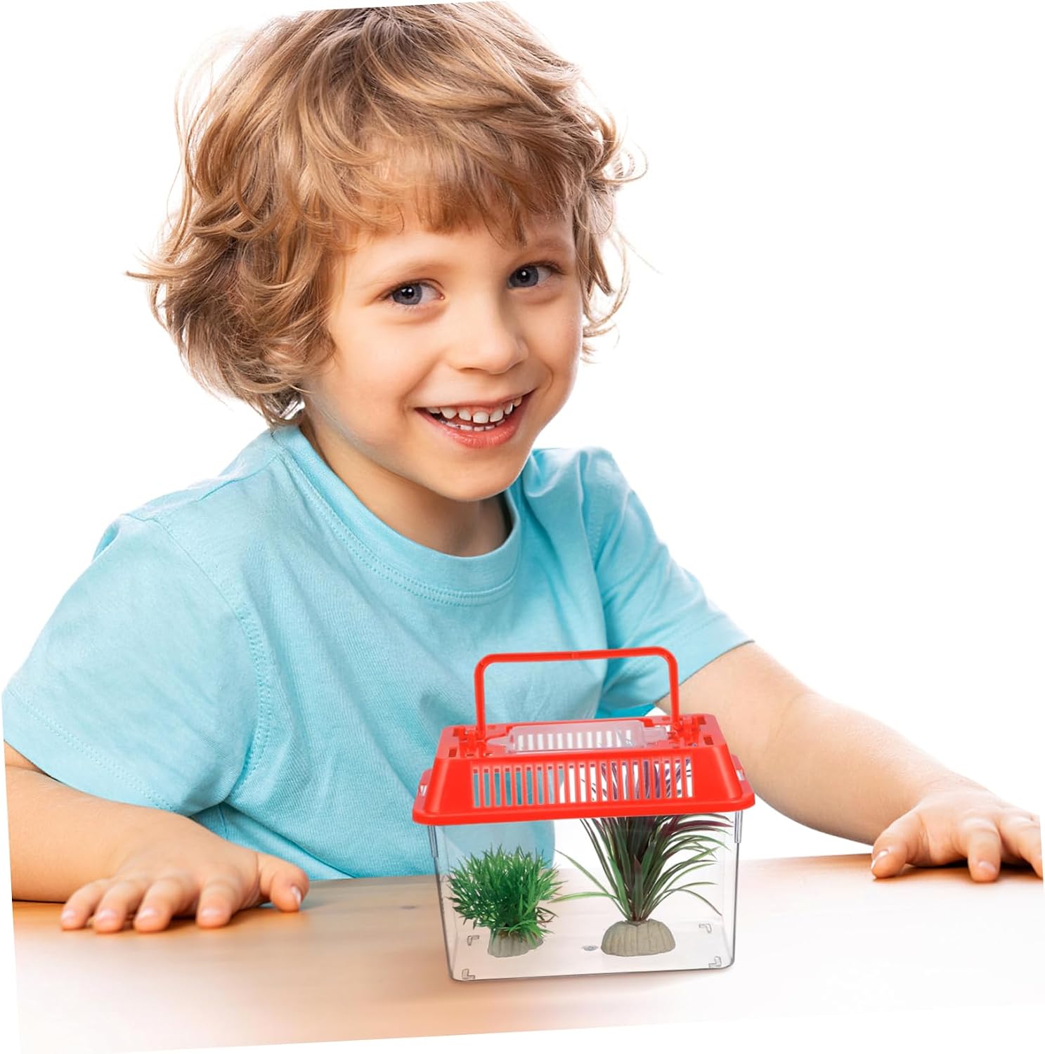Mini Handheld Fish Tank for and Pet Fish Transparent Plastic Easy to Safe for Includes Random Lid