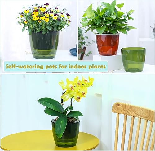 Miniatura 6 de Paquete de 8 macetas grandes transparentes de riego automático de 6.7 pulgadas para plantas de interior, macetas grandes de orquídeas con riego