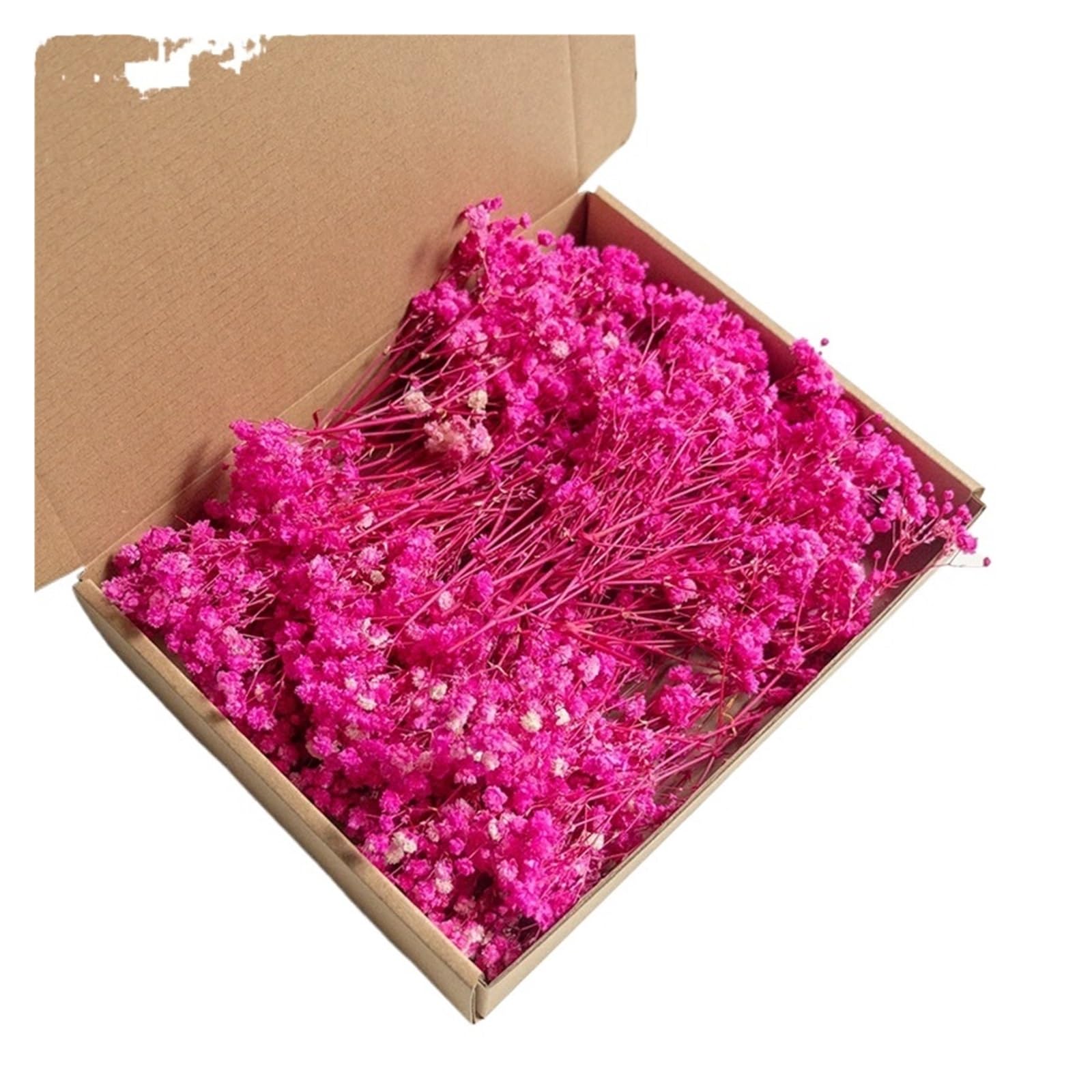 WJIAYAO dried gypsophila flowers 100pcs Mini Dried Baby's Breath Flowers Dry Flower Gypsophila DIY Aromatherapy Wedding Party Photo Deco(Color5)