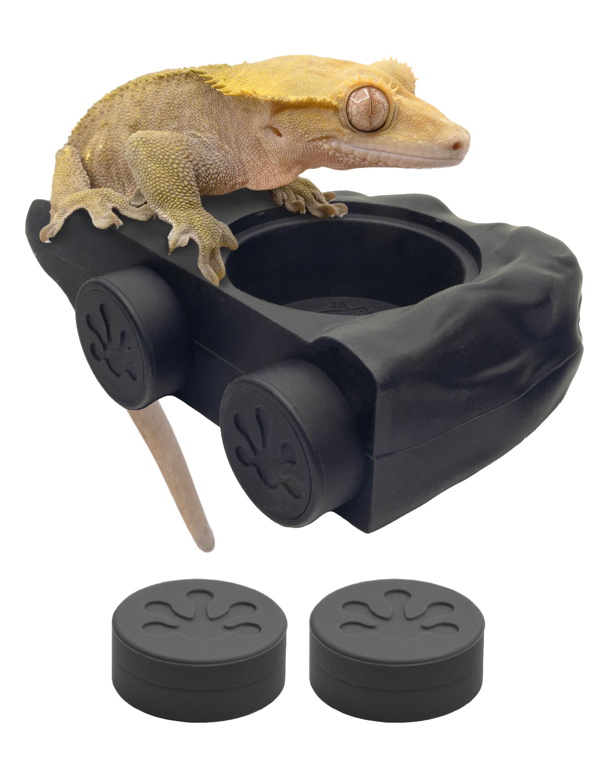 Mangeoire gecko haut de gamme Pangea support magnétique durable en silicone noir