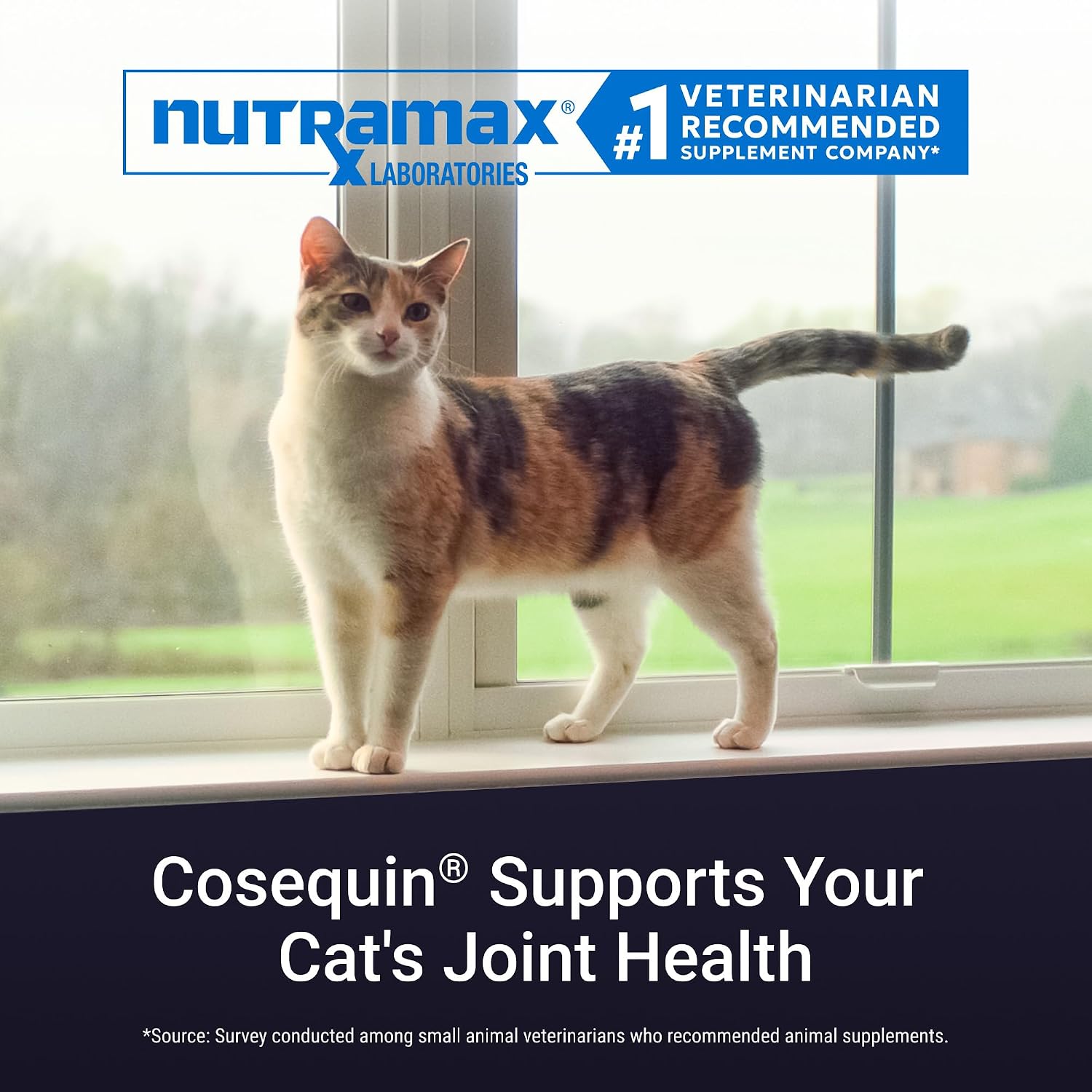 Nutramax Cosequin for Cats Joint Health Supplement, Contains Glucosamine for Cats, Plus Chondroitin and Boswellia, Supports Healthy Joints, For All Breeds and Sizes, Sprinkle Capsules, 60 Count