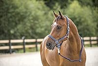 Vista 4 de HORZE Cooper Halter con cuerda de plomo - Negro - Cob