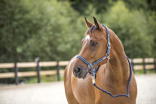 Vista 5 de HORZE Cooper Halter con cuerda de plomo - Negro - Caballo