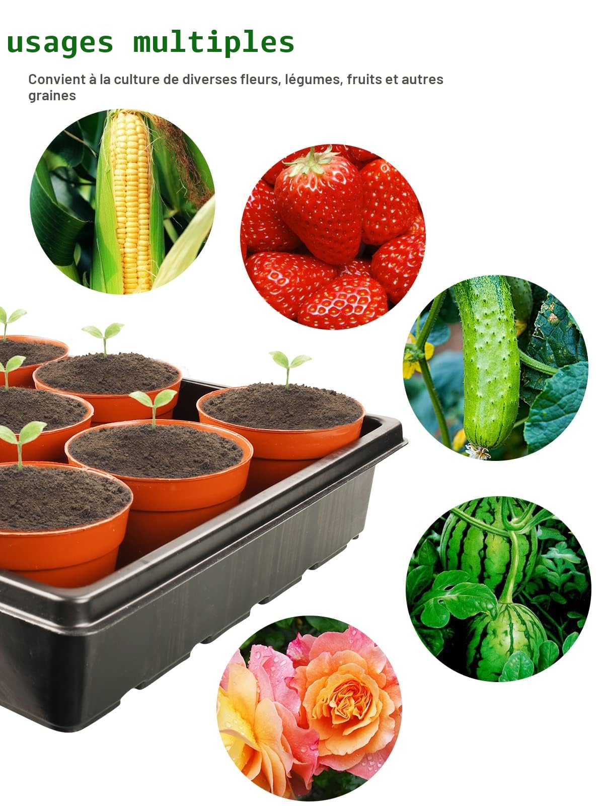 Plateaux de Semis pour Semis Plateaux de Jardin sans Trous Lot de 6 rectangulaires de semences de Plantes pour Pots