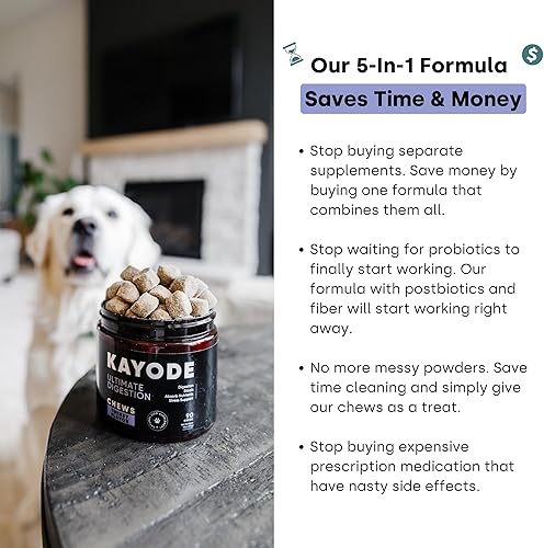 Miniatura 4 de Kayode Digestión definitiva. Antidiarrea de acción rápida para perros. Remedio para pedos para perros y alivio de gases para perros. Nutrientes