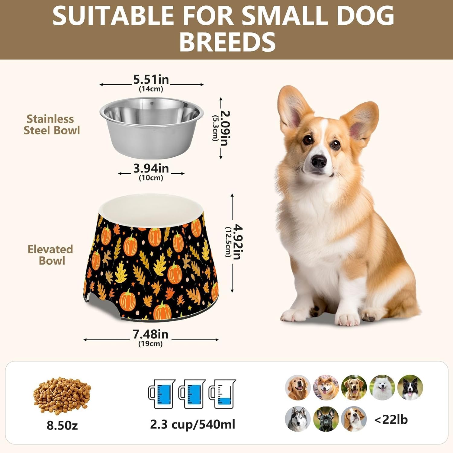 Autumn Fall Pumpkin Leaves Thanksgiving Pet Bowl Elevated Dog Bowls with Stainless Steel, Raised Dog Bowl for Comfortable Feeding and Easy Cleaning, for Pets.23301032