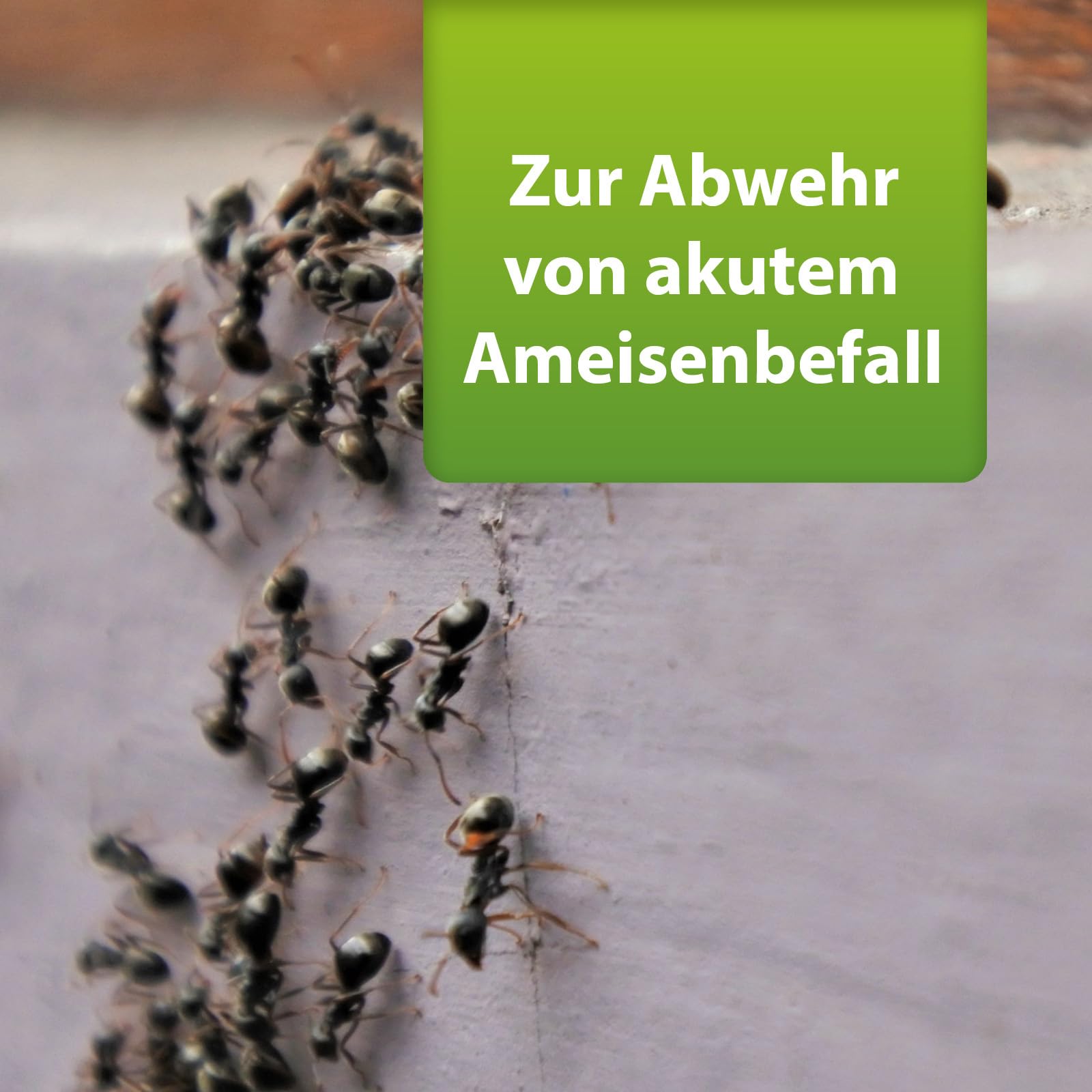 ARDAP Repell Ameisenmittel 2 x 500g - Ameisenpulver - Ameisenstreumittel - Mittel gegen Ameisen - Ameisenpulver zum Streuen draußen - Ameisenmittel für draußen -Wirkt effektiv bei akutem Befall (PT19)