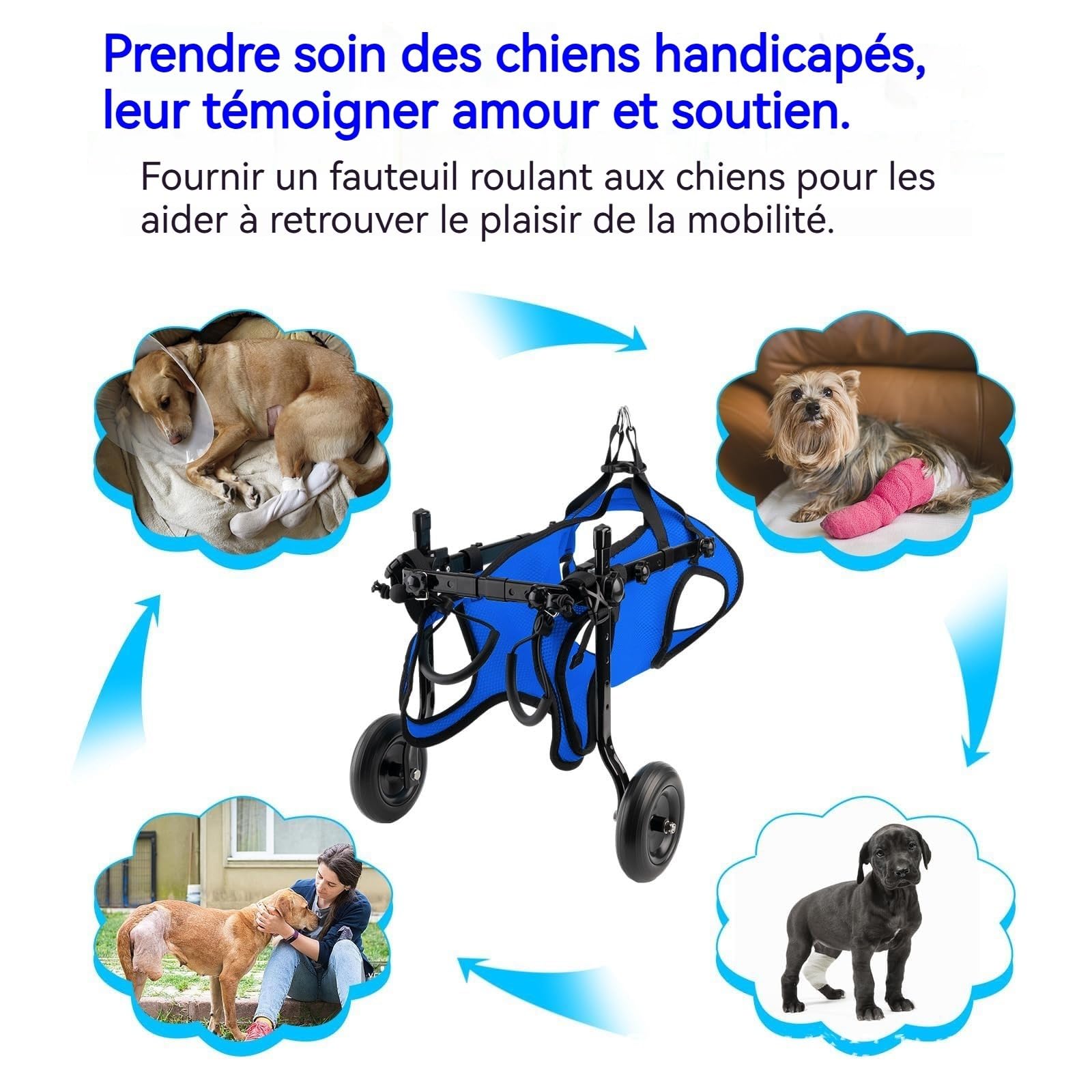Chariot réglable pour animal domestique handicapé, aide à la mobilité des membres postérieurs, aide à la mobilité des chiens, outils de rééducation, promenade, pattes d'animaux de compagnie léger