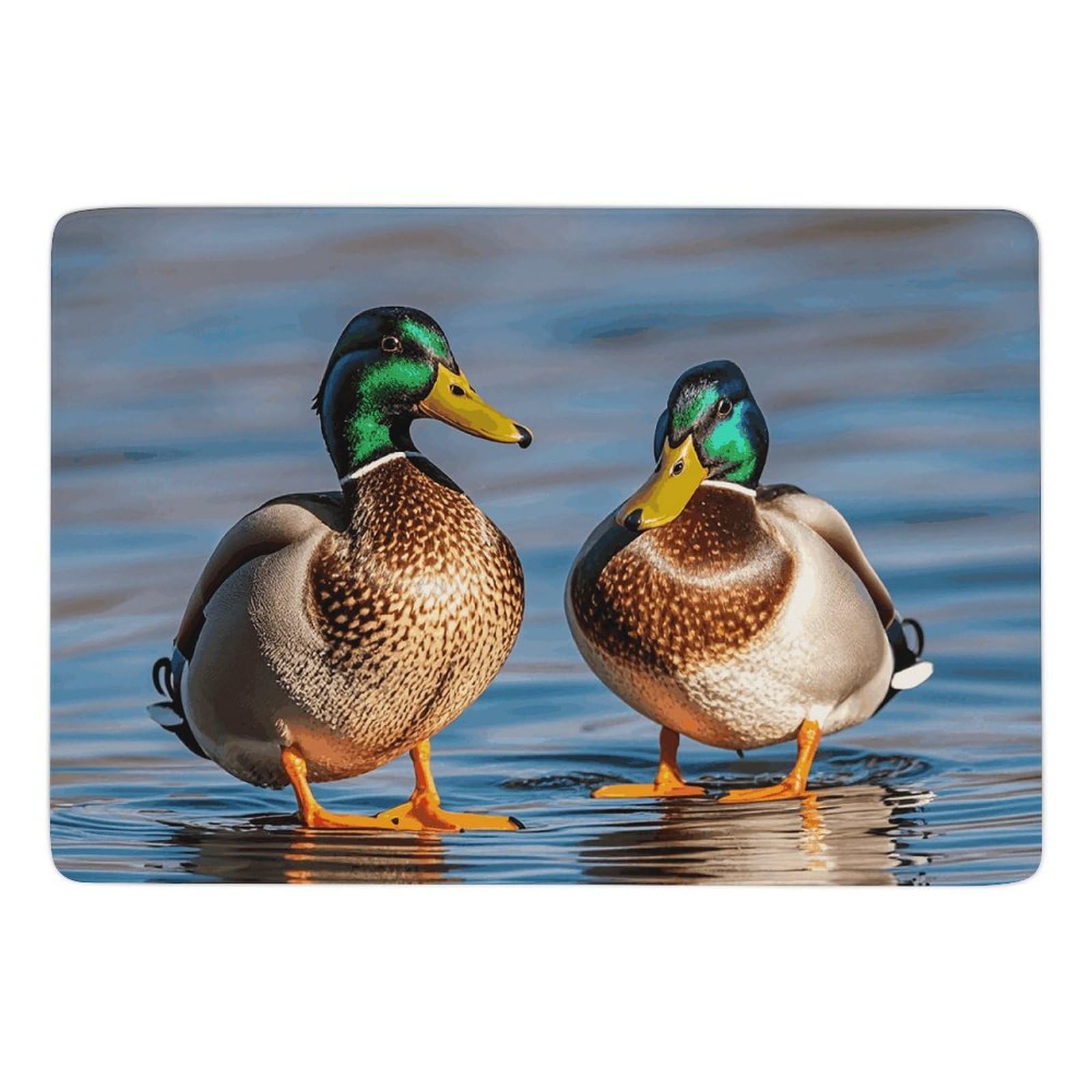 Tapis de bain super absorbant canards colverts antidérapant et sec