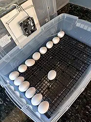 Chocadeira Pet Com Controle De Temperatura Automático E Rolagem Dos Ovos Manual Capacidade De 48 Ovos Galinha Ou 144 Ovos De Codorna