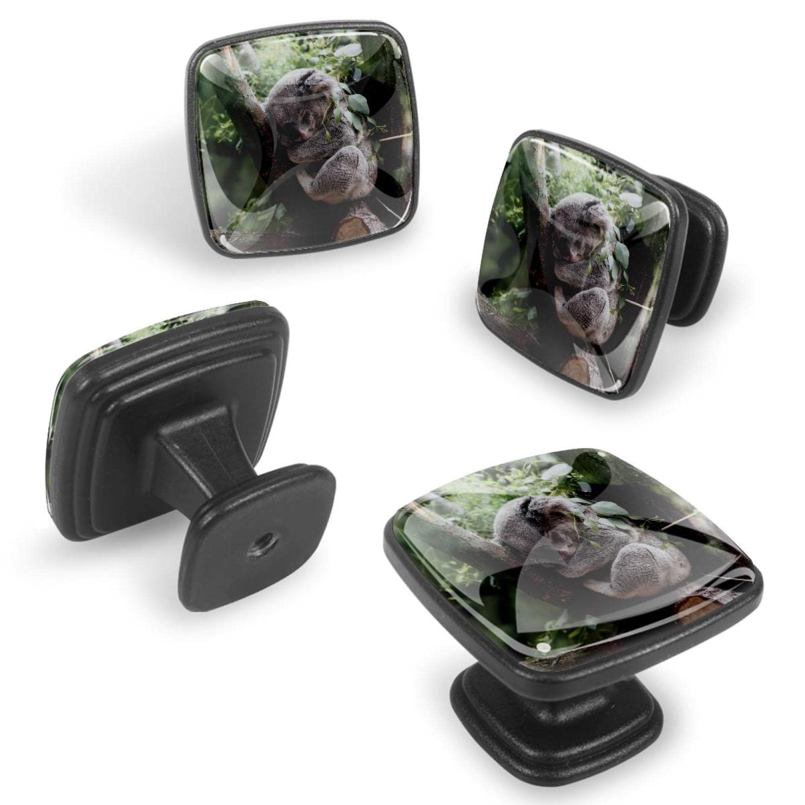 Poignées de cuisine boutons de tiroir koala lot de 12 pour meuble et placard