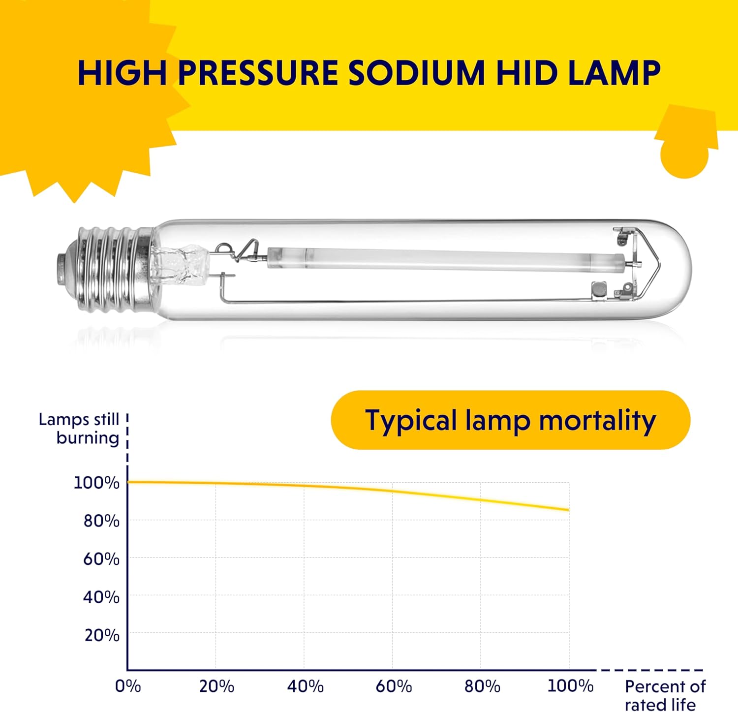 iPower 400 Watt Horticulture Digital Dimmable Electronic Ballast and Pressure Sodium HPS Grow Light Bulb for Indoor Gardening