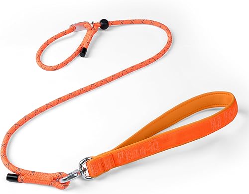 Miniatura 12 de Correa básica para perro, correa de entrenamiento resistente sin tirones con antienredos, asas de tráfico acolchadas dobles ajustables de 5 a 5.6