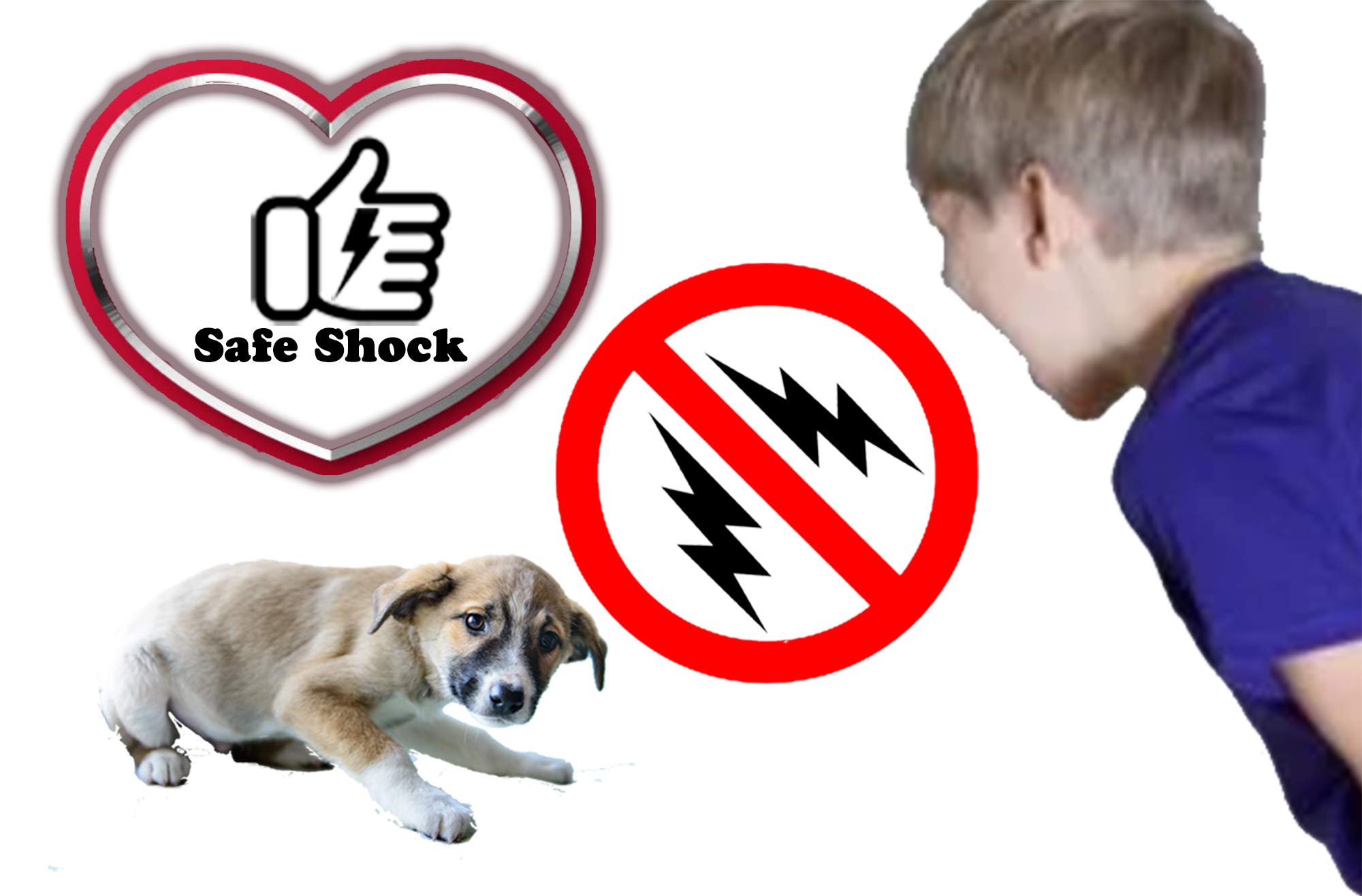 best dog shock collar on amazon