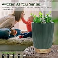 Vista 2 de Earnest Living Difusor de aceite esencial de cerámica para plantas suculentas artificiales en maceta, 3.4fl oz para aceites esenciales de lavanda