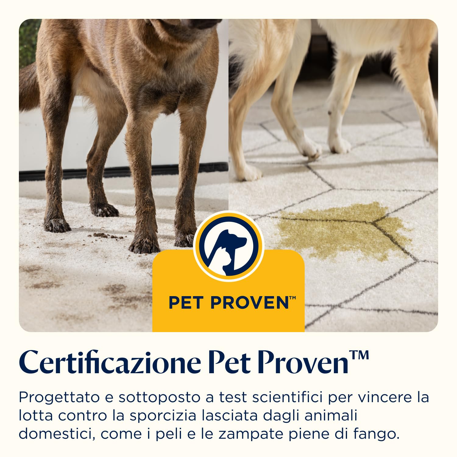 BISSELL SpotClean HydroSteam, Lavatappeti, Pulitore a Vapore con Tecnologia HydroSteam, Lava Tappezzeria per Tappeti, Auto, Divani, Moquette, Materassi e Altro, Potente Motore da 1000W, 3689N
