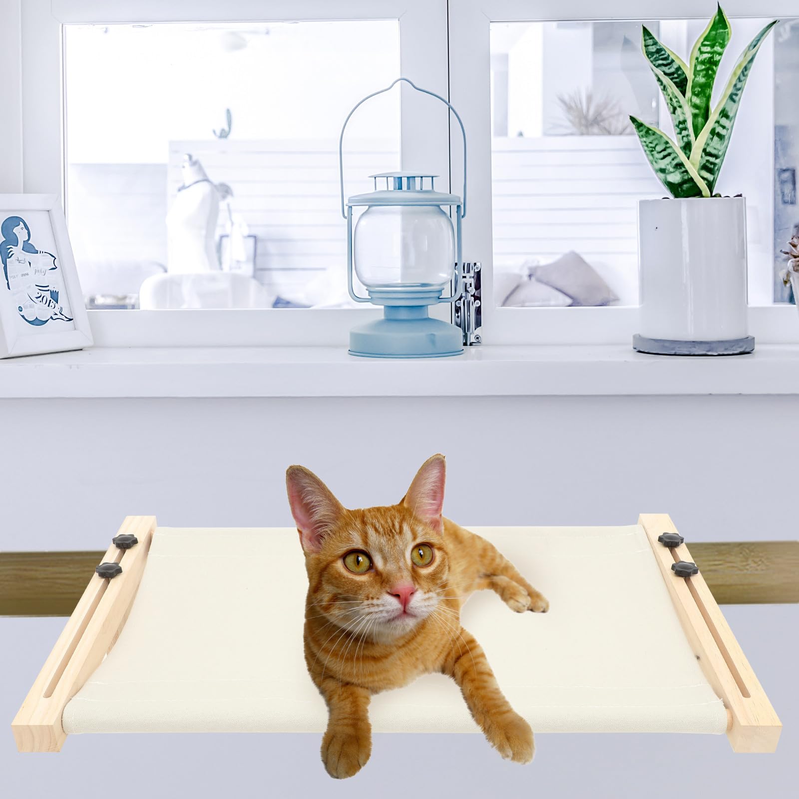 Hängematten Katzenbett für Kleine Haustiere Komfortabel und Einzigartig Geformt Verstellbare Fensterhängematte für Katzen im Innenbereich zu Hause