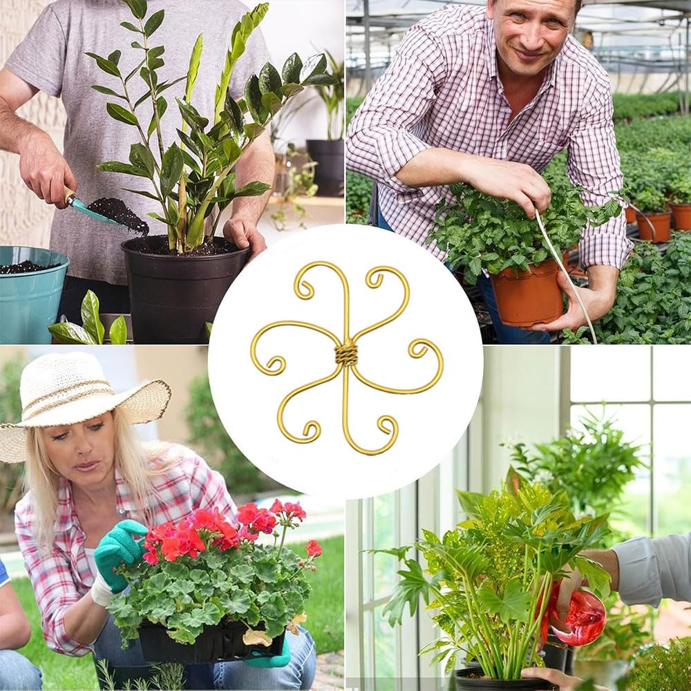 Ensemble de support de tige de plante grimpante, treillis en métal réutilisable pour plantes grimpantes, piquets de support pour plantes d'intérieur (6, cœur doré)