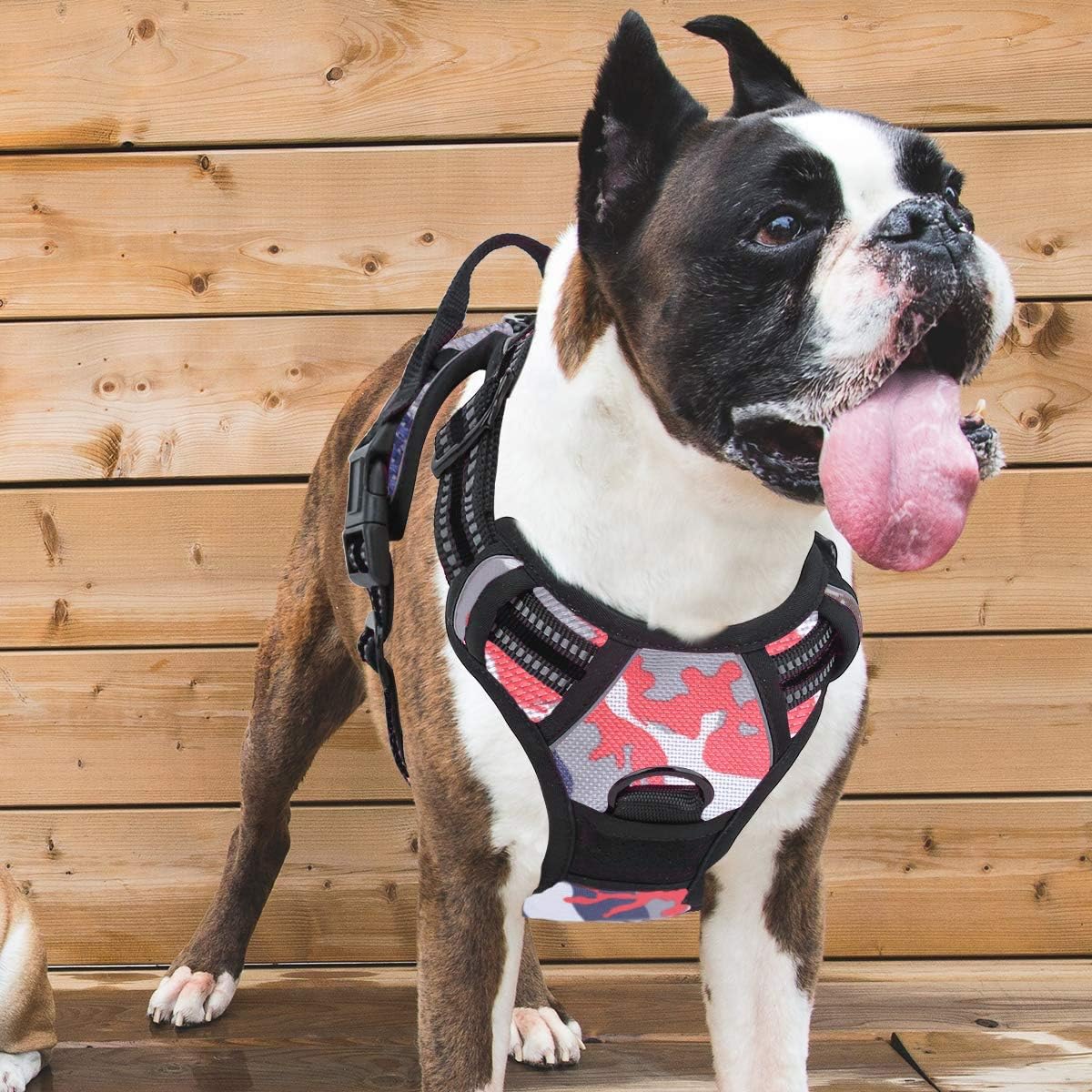 Vovodog Dog Harness No-Pull Pet Harness, Adjustable Outdoor Walking Pet Reflective Oxford Soft Vest with 2 Metal Rings and Handle Easy Control for Small Medium Large Dogs