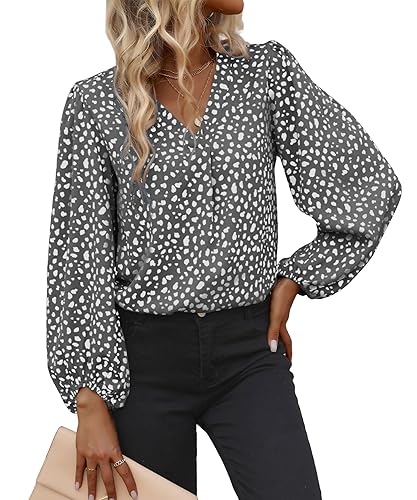 Long Sleeve Blouses for Women, Leopard Print Chiffon Tops V