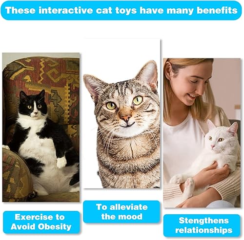 Miniatura 7 de Varita de juguete retráctil para gatos, 12 paquetes de juguetes interactivos de plumas para gatos, 9 recambios surtidos con campana para gatito