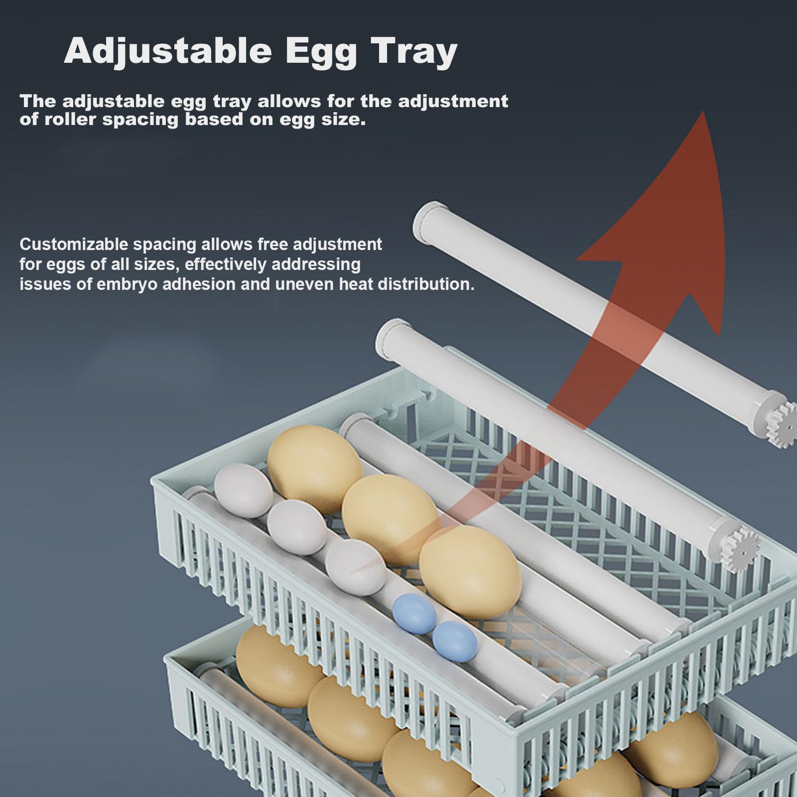 W Pełni Automatyczny Inkubator Do Jaj, Mały Inkubator Do Jaj Kurzych Przepiórczych W Domu, Inteligentny Klujnik Z Funkcją Automatycznego Obracania(Size:24 eggs)