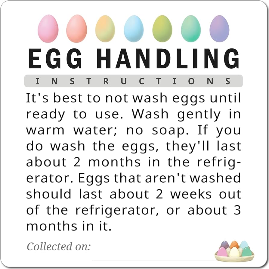 amazon-com-havongki-100pcs-premium-fresh-farm-eggs-handling-care-instructions-accessories-stickers-labels-egg-blank-cartons-4-6-12-15-18-30-48-50-storing-extra-organizer-basket-box-container-m01-3ss-office-products for Egg Handling Instructions Printable Free Amazon.com : Havongki 100pcs Premium Fresh Farm Eggs Handling Care Instructions Accessories Stickers Labels | Egg Blank Cartons 4 6 12 15 18 30 48 50 Storing Extra Organizer Basket Box Container (M01-3SS) : Office Products for Egg Handling Instructions Printable Free