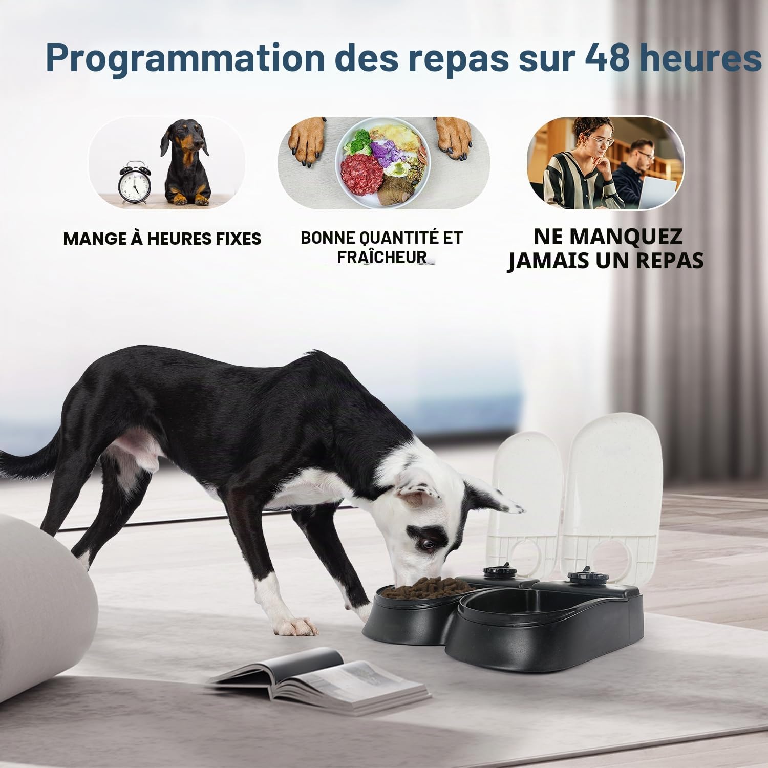 PAWISE Mangeoire Automatique pour Chats Et Chiens, Mangeoires Automatiques pour Animal de Compagnie avec Minuterie Et Poche De Glace, à Utiliser avec des Aliments Secs et Humides (2 Repas)