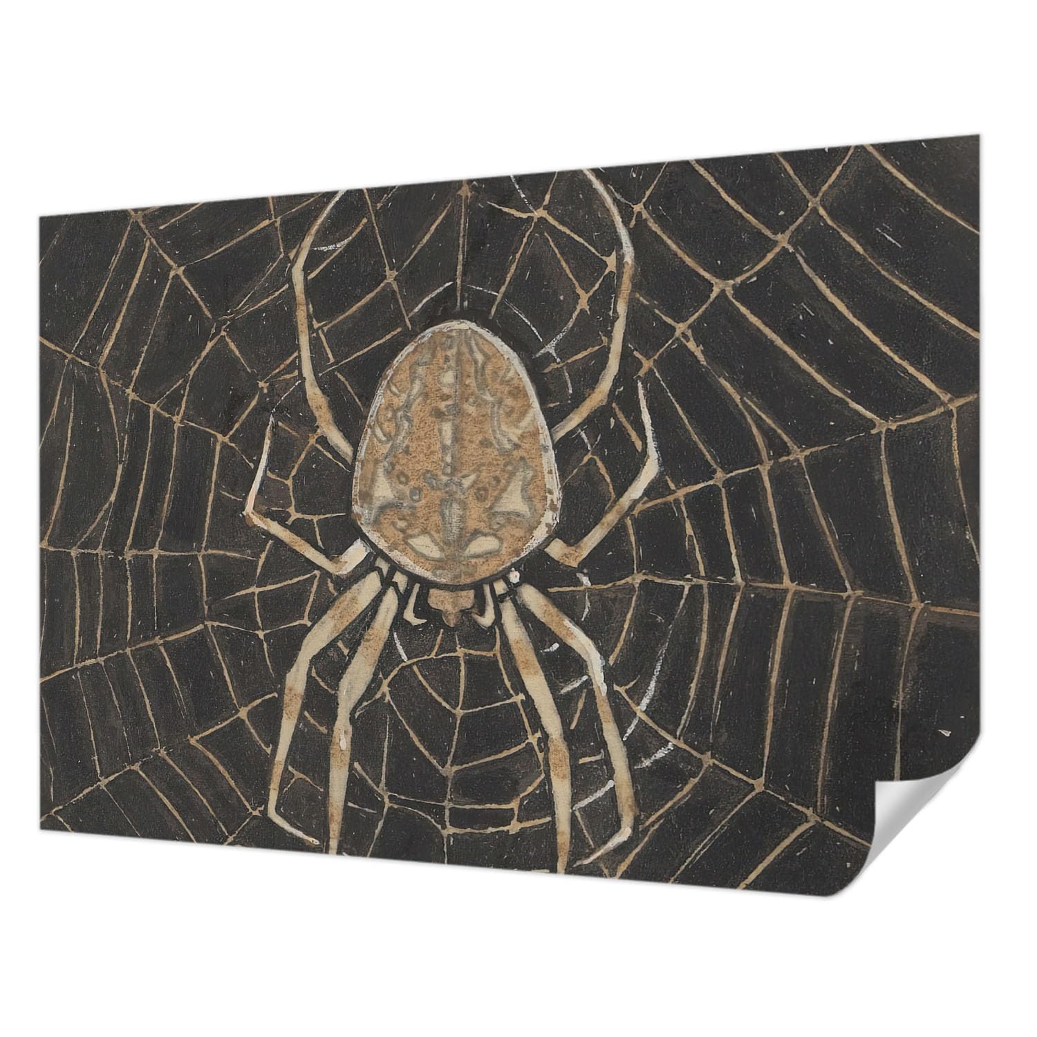 Papier peint adhésif lavable pour rénover un mur sans colle ni tache