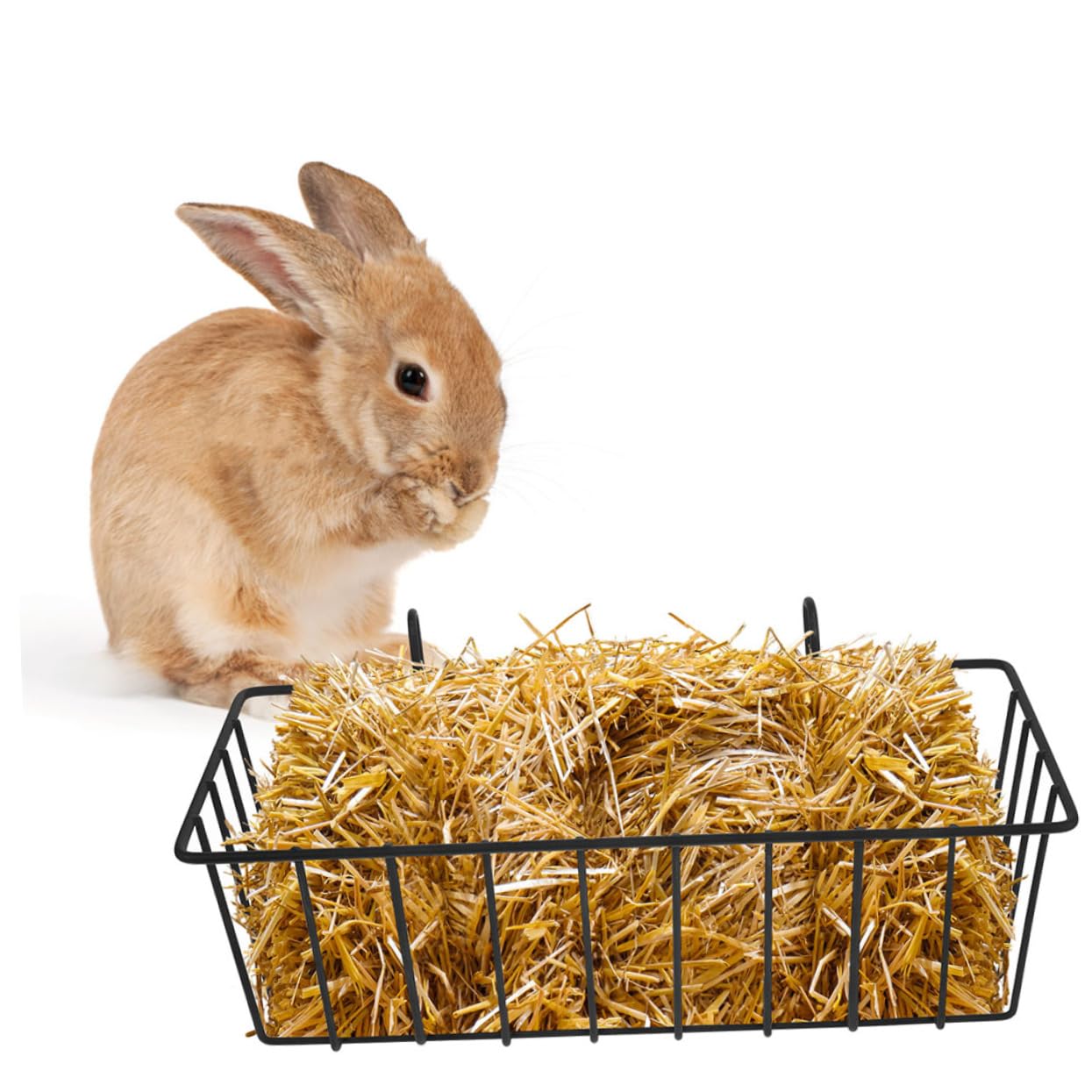 Râtelier à Foin pour Lapins en Fer Noir 5 Pièces pour Cage | Contrôle des Portions, Stable et Difficile à Déplacer, Adapté aux Chinchillas et Lapins en Intérieur