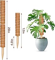 Vista 2 de 2 postes de musgo de coco de 12 pulgadas para plantas trepadoras con 4 lazos ajustables para plantas, palo de tótem de musgo de coco para extensión