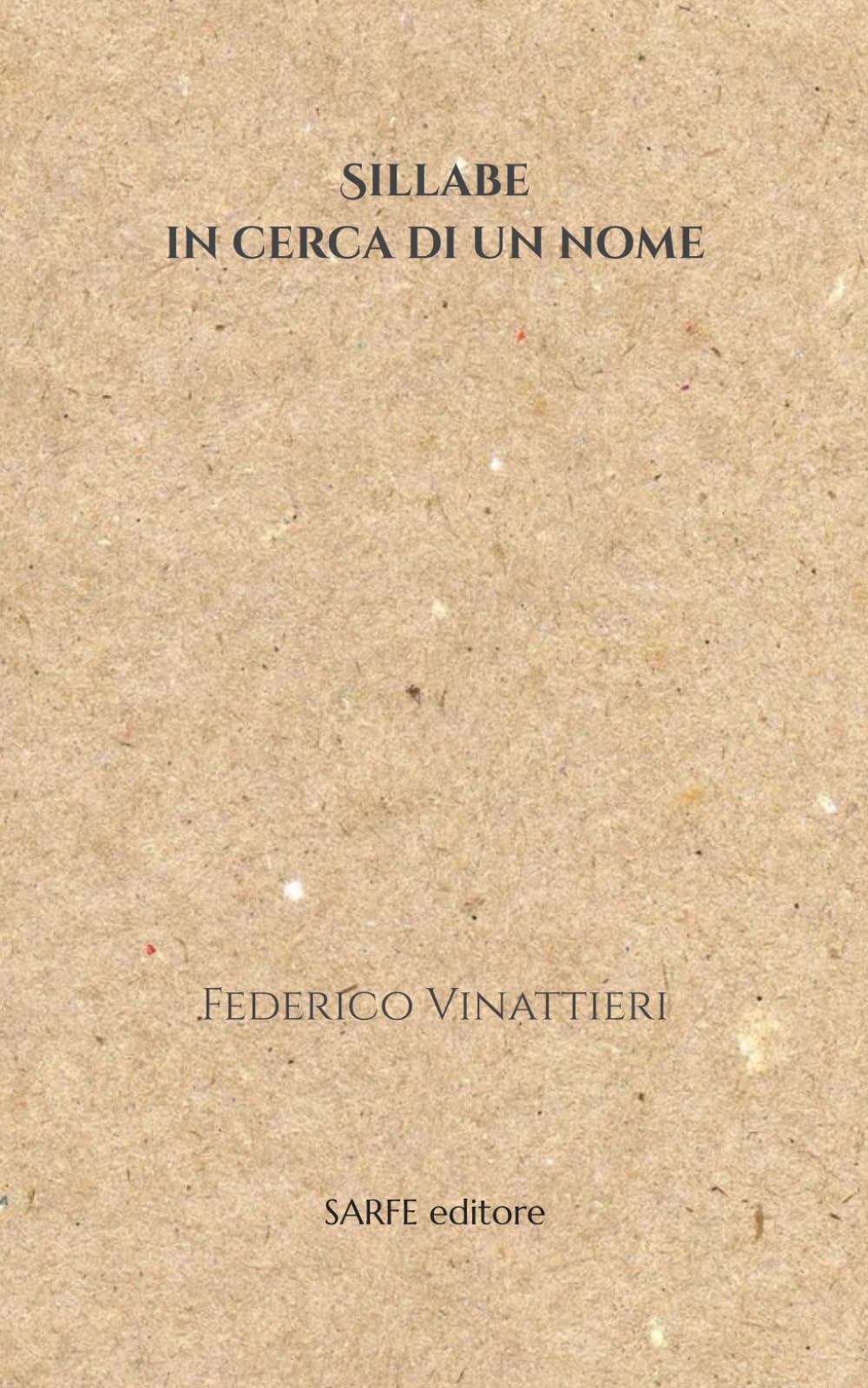 Sillabe in cerca di un nome: raccolta di poesie
