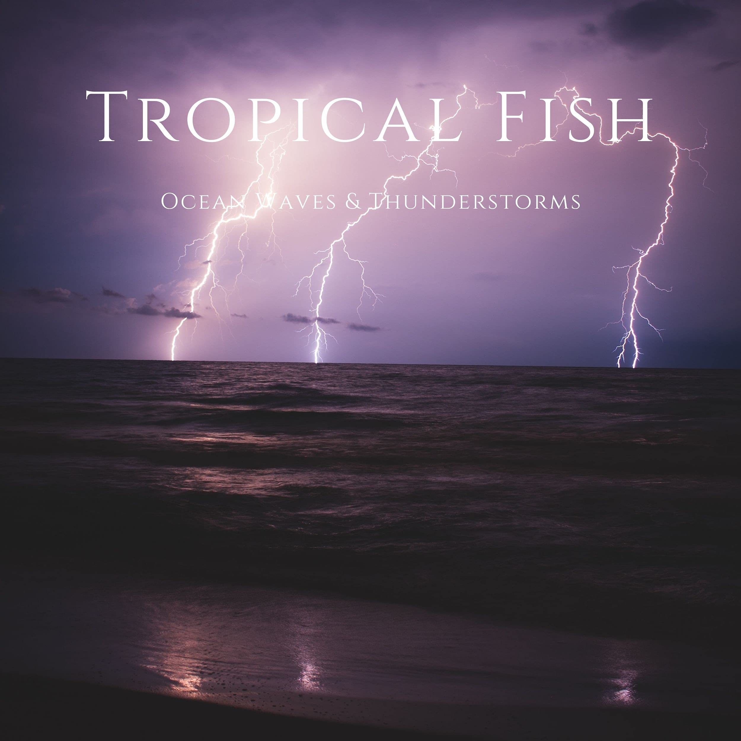 Tropical Fish