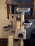 Review Image by Amazon Customer