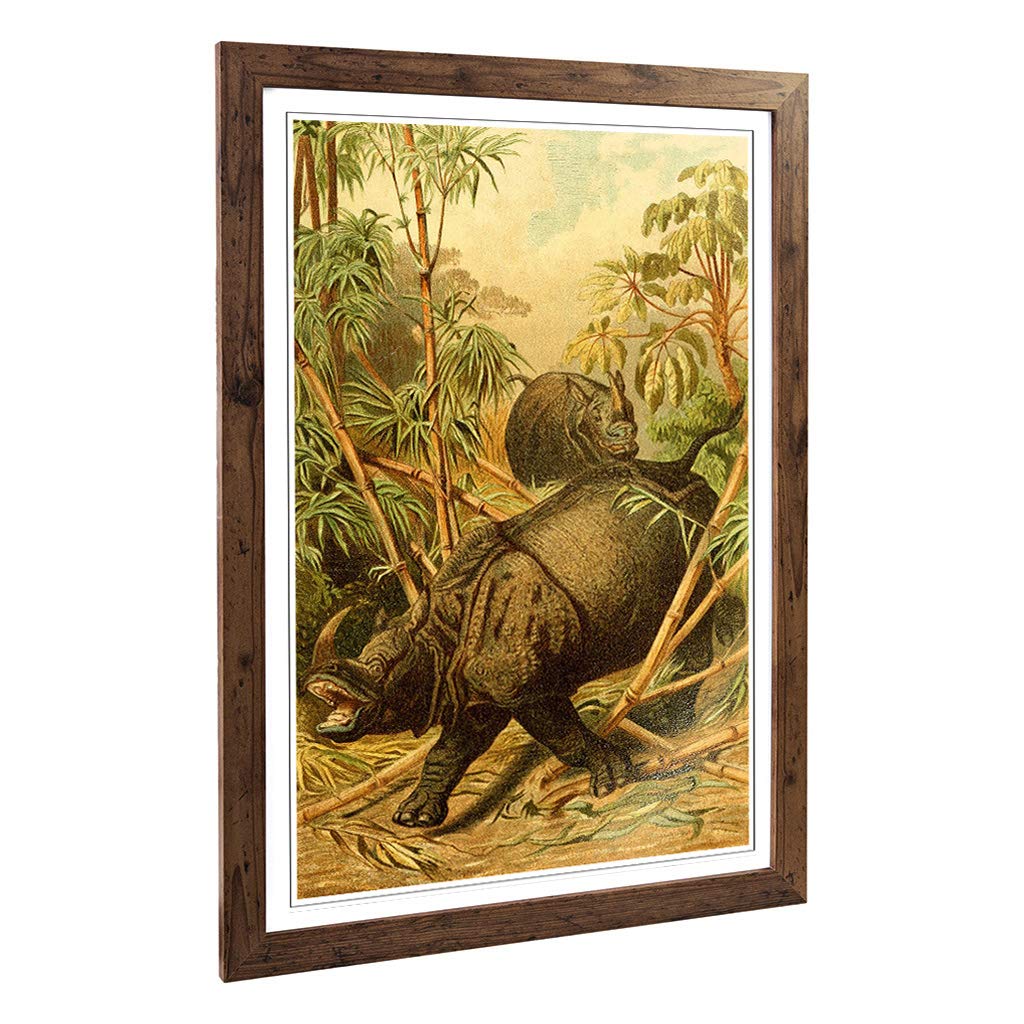 Big Box Art Framed Print of Vintage Brehms Tierlben Rhinocerous Design | Wall Art Picture | Home Decor for Kitchen, Living Room, Bedroom, Hallway, Walnut, A2 / 24.5x18 Inch / 62x45cm