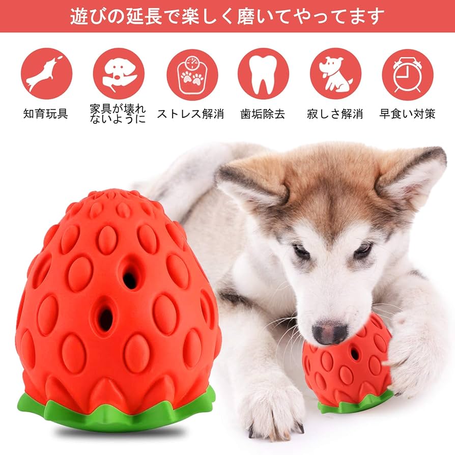犬の歯ブラシ 噛むおもちゃゴム ボール 小中型犬 音が鳴る トレーニング Amazon | LaRoo 犬 おもちゃ ボール 音の出る 噛むおもちゃ 天然