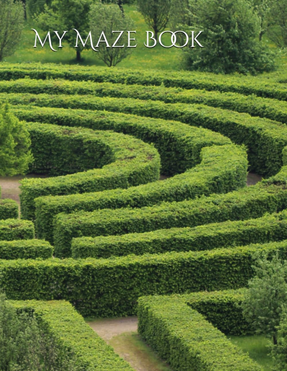 My Maze Book (Maze Books)