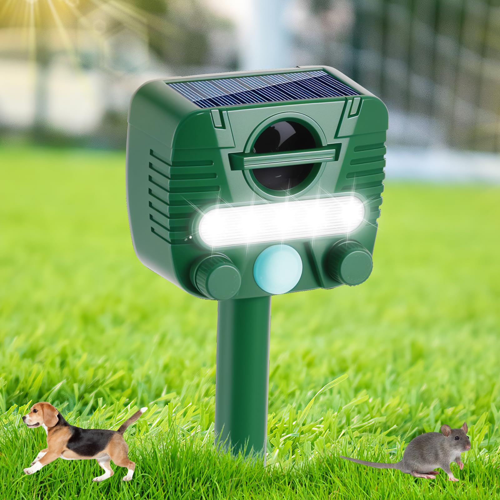 Ultrasonic Cat Repellent, Solar Cat Repellent Deterrent for Garden, Ultrasonic Animal Scarer Deterrent with PIR Sensor & 5 Adjustment Modes, Waterproof Cat Scarer with Ground Stake (Green-1)